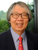 tommykoh